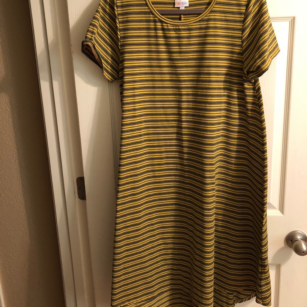 💗LulaRoe Carly - Picture 1 of 3